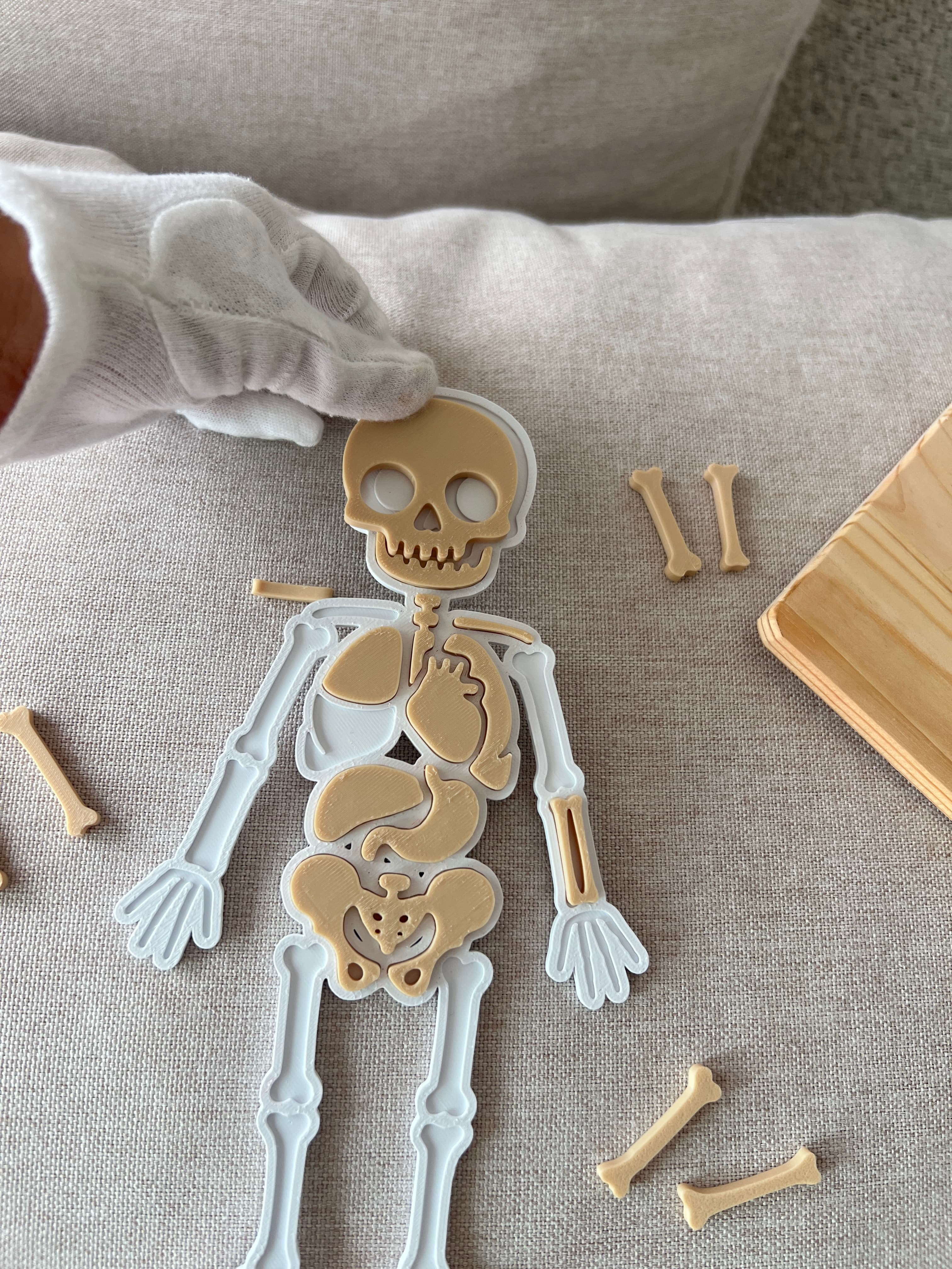 Quebra-cabeça corpo humano — detalhe educativo
