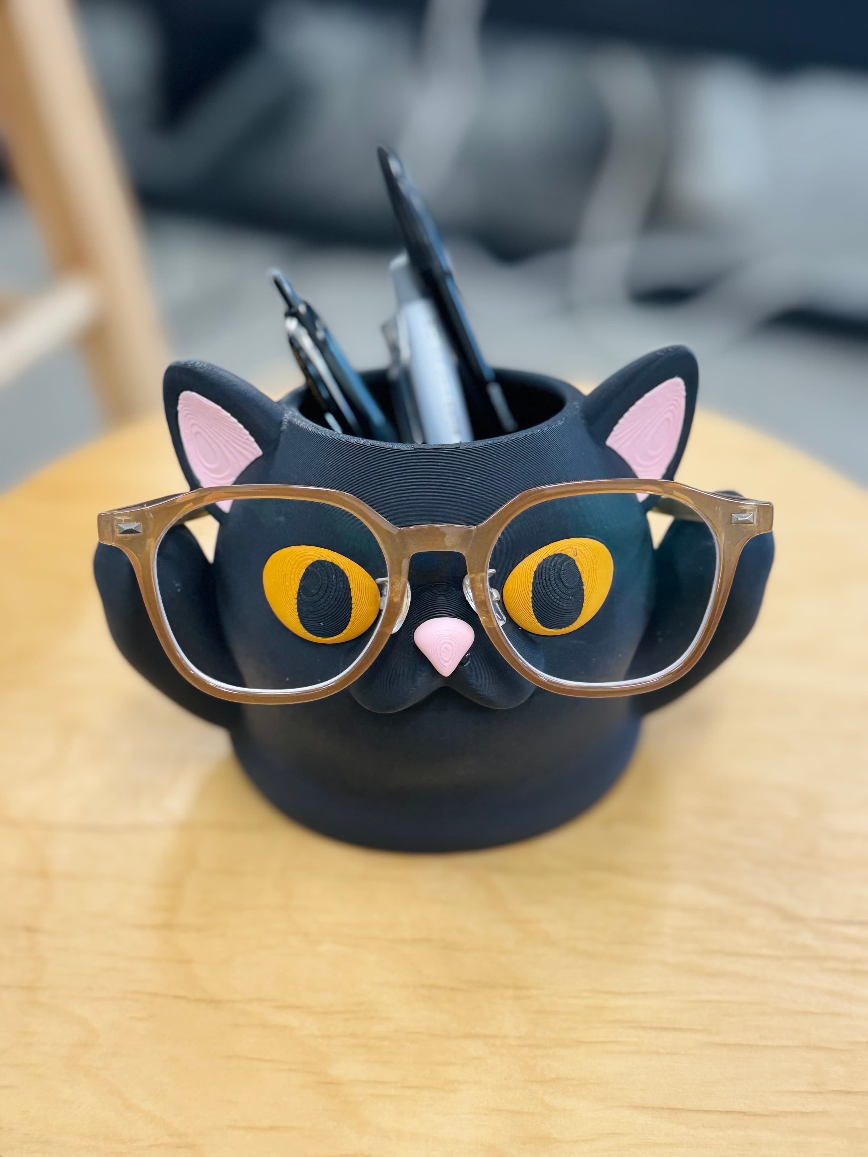 Porta-lápis gato — variantes de cores